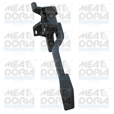 Accelerator Pedal Unit